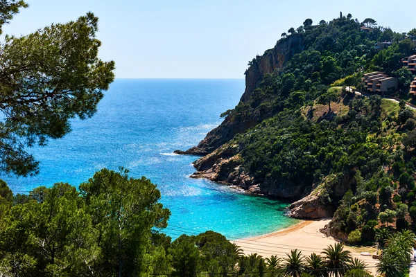 Boş Cala Giverola plajı. İspanya