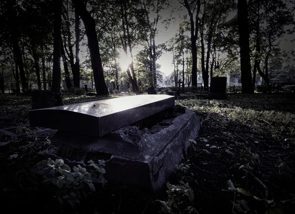 Open grave in the old cemetery — Stock Photo, Image