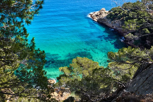 Λιμνοθάλασσα με γαλαζοπράσινα νερό. Κόστα Μπράβα, Καταλονία, Ισπανία — Φωτογραφία Αρχείου