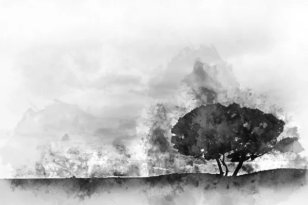 Silhouet van een boom. Zwart-wit digitale aquarel — Stockfoto