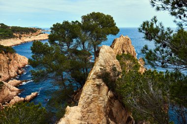 Kayalık sahil Costa Brava. İspanya