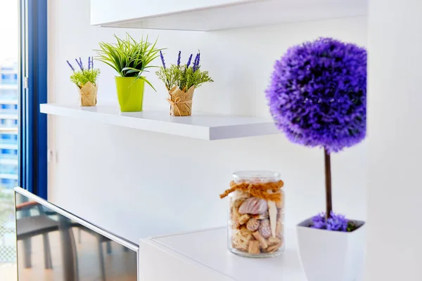 Plank Potted Bloemen Woonkamer Design Elementen Objecten Achtergrond — Stockfoto