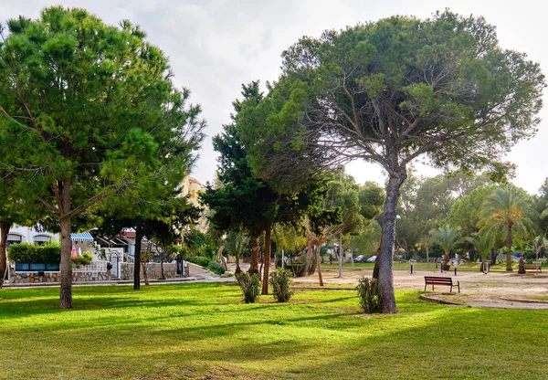 Tropischer Park Mit Outdoor Fitnessgeräten Sonnigen Sommertagen Costa Blanca Alicante — Stockfoto