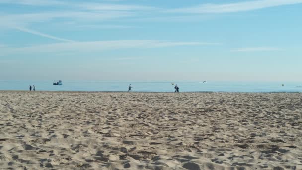 Spagna Valencia Dicembre 2020 Gente Cammina Lungo Spiaggia Sabbiosa Valencia — Video Stock