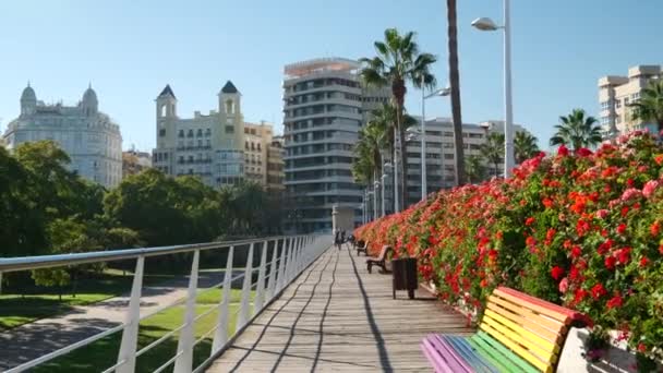 España Valencia Dic 2020 Gente Camina Por Puente Las Flores — Vídeos de Stock