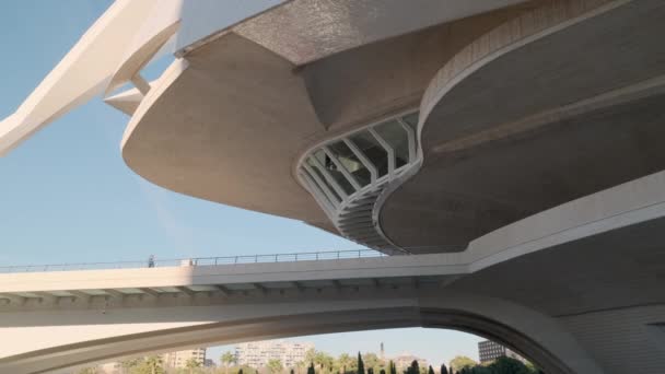 バレンシア スペイン 2020年12月29日 Montolivet モントリヴェット 橋の未来的な建物現代建築サンティアゴ カラトラバ フェリックス カンデラによって設計された芸術科学都市 ランドマークや旅行の概念 — ストック動画
