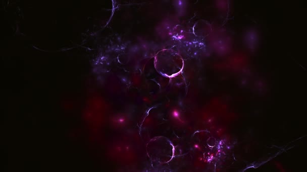 Multi fundo abstrato fractal colorido em preto. Cores violeta e roxa — Vídeo de Stock