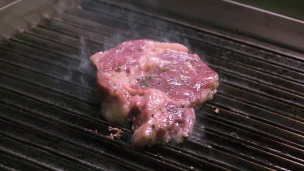 Slow Motion View Steaks Grill Met Laaiende Vlam Van Dichtbij — Stockvideo