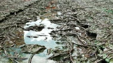 Tres Aguas veya Three Waters arka plan görüntüsü, İspanya 'nın eski şehri Toledo' nun belediye binasındaki Saint Mary Katedrali yakınlarında yer almaktadır. Kastilya-La Mancha. Seyahat yerleri ve dönüm noktaları kavramı. İspanya