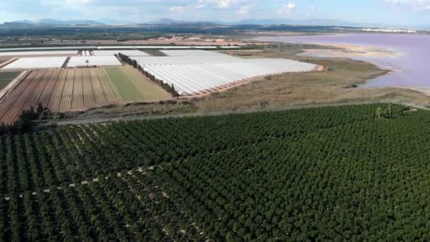 Panoramisch Uitzicht Vanuit Lucht Het Zoutmeer Van Las Salinas Landbouwgrond — Stockvideo