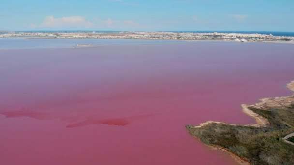 Vista Aerea Panoramica Lago Rosa Las Salinas Torrevieja Paesaggio Urbano — Video Stock