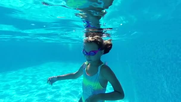 Sevimli Kızlar Mayo Giyer Gözlük Takar Kameraya Bakar Yaz Tatillerinde — Stok video