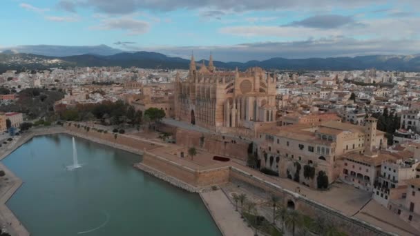 Palma Mallorca Stadsbild Katedralen Seu Santa Maria Kungliga Palatset Almudaina — Stockvideo