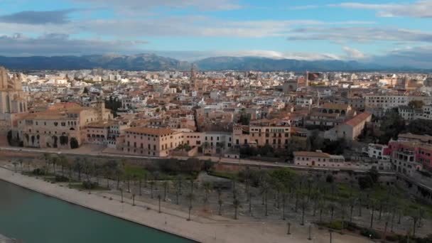 Palma Mallorca Stadsbild Katedralen Seu Santa Maria Kungliga Palatset Almudaina — Stockvideo