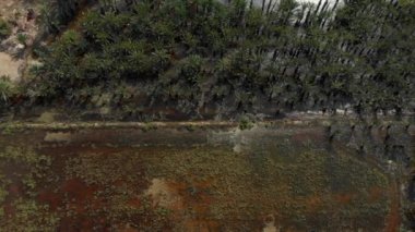 Aerial drone point view aftermath of heavy rain, flooded fields, dead crops. Gota fria or cold drop flood consequences, high impact rainfall in Spain, natural disaster, extreme weather result concept