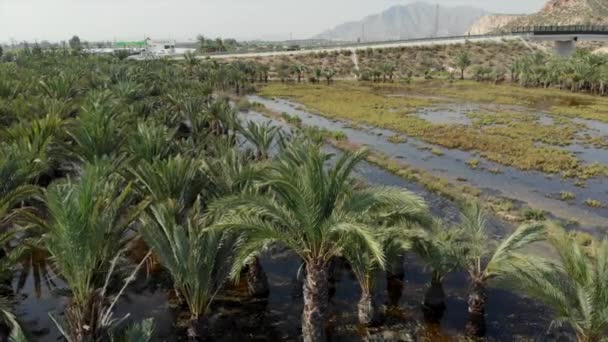 Orihuela Spain October 2019 Aerial View Aftermath Heavy Rain Flooded — Vídeo de Stock