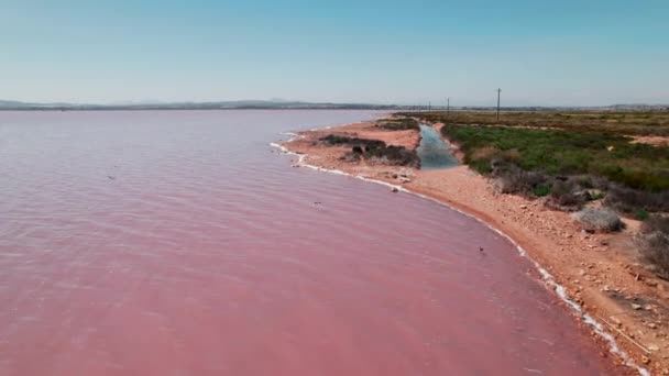 Drone Szempontból Las Salinas Táj Alatt Napsütéses Nap Rózsaszín Színű — Stock videók