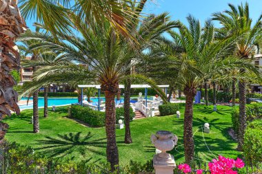 Turkuaz yüzme havuzu manzarası yemyeşil palmiye ağaçlarıyla çevrili. Kentin içinde yeşil renkli bitkiler var. Seyahat, yaz tatili konsepti. Avrupa, Torrevieja, Alicante. Güney İspanya