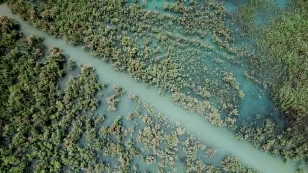 Point Vue Drone Embalse Pedrera Grand Lac Couleur Turquoise Utilisé — Video