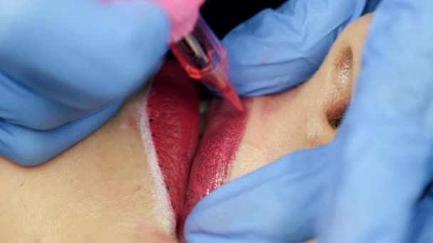 Micro Pigmentación Los Labios Proceso Maquillaje Permanente Femenino Maestro Que — Vídeo de stock