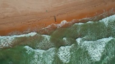 Mil Palmeras 'ın kumsalında, güverte sandalyesi ve şemsiyeleri var. Tatil ve yaz tatili, seyahat ve turizm konsepti. Costa Blanca, İspanya