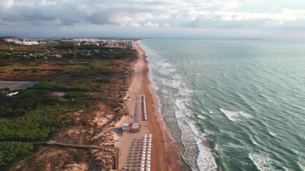 拉玛塔的空中风景沙滩上 没有人 日光浴床和阳伞排成一排 全景高角度视图 西班牙科斯塔布兰卡 阿利坎特省 — 图库视频影像