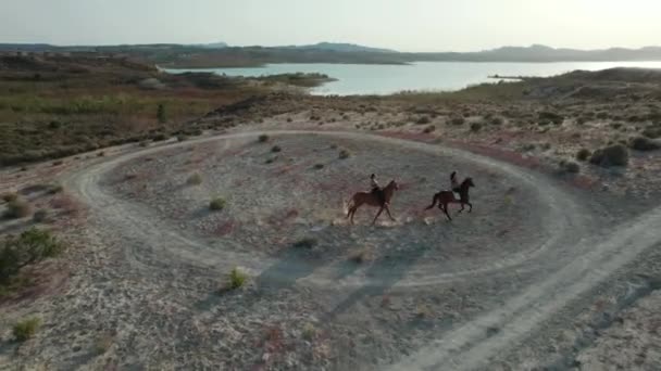 무인기에서는 성인이 코카서스 나가는 모습을 수있다 Embalse Pedrera Lake View — 비디오