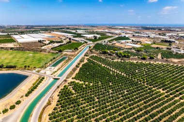 Güneşli yaz gününde, Orihuela Costa 'nın tarım arazileri ve kırsal bölgeleri olan hava aracı bakış açısı. Murcia, İspanya 'nın güneyi