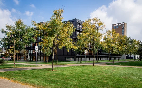 Otoño en la ciudad de Sittard — Foto de Stock