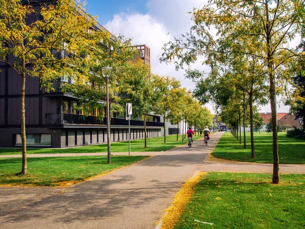 Otoño en la ciudad de Sittard — Foto de Stock