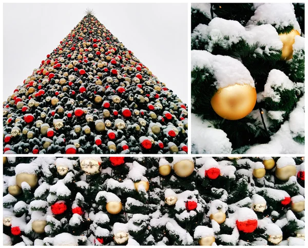 크리스마스 나무의 합성 — 스톡 사진