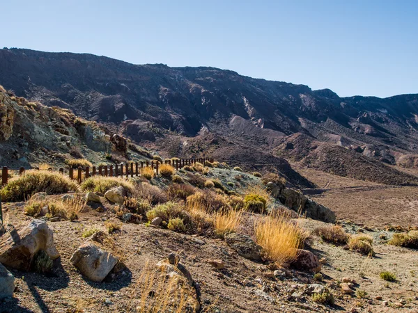 Εθνικό πάρκο Teide — Φωτογραφία Αρχείου