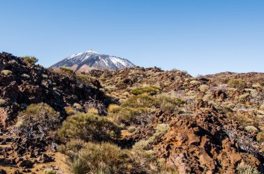 Volkan Teide, Tenerife doğal görünümünü. Kanarya Adaları