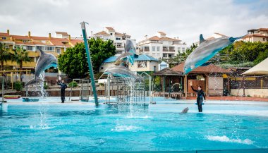 Benalmadena Marinada Selwo yunuslar göstermek