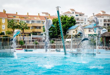 Benalmadena Marinada Selwo yunuslar göstermek