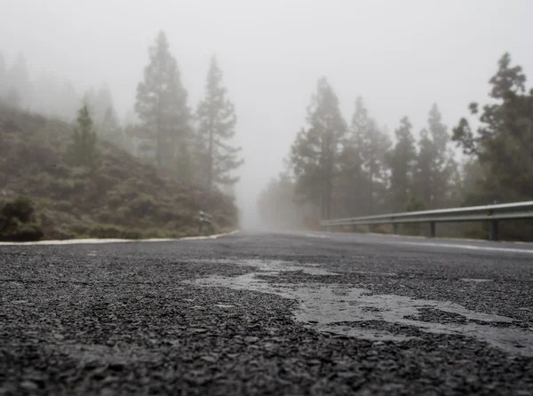 Foggy road to volcano Teide — Stock Photo, Image