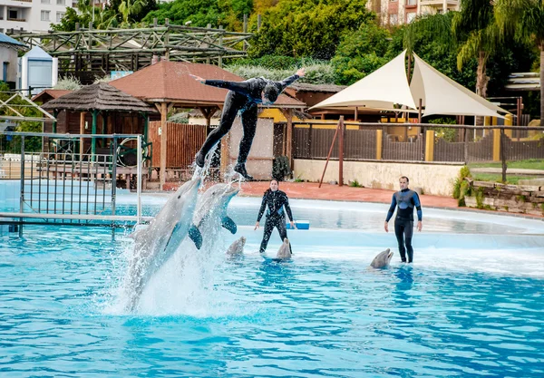 Delfíni show v Selwo Marina v Benalmádena — Stock fotografie