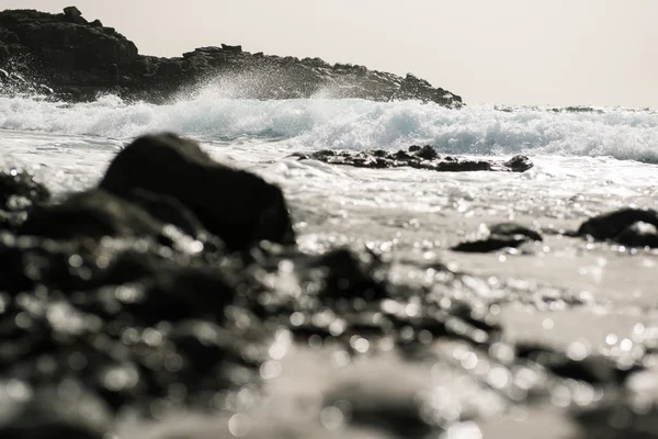 Kayalık sahil. Tenerife, Kanarya Adaları. İspanya — Stok fotoğraf