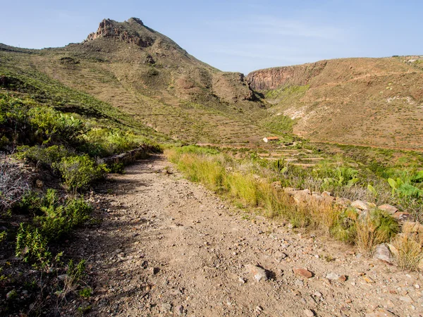 Felslandschaft von Teneriffa. Kanarische Inseln. Spanien — Stockfoto