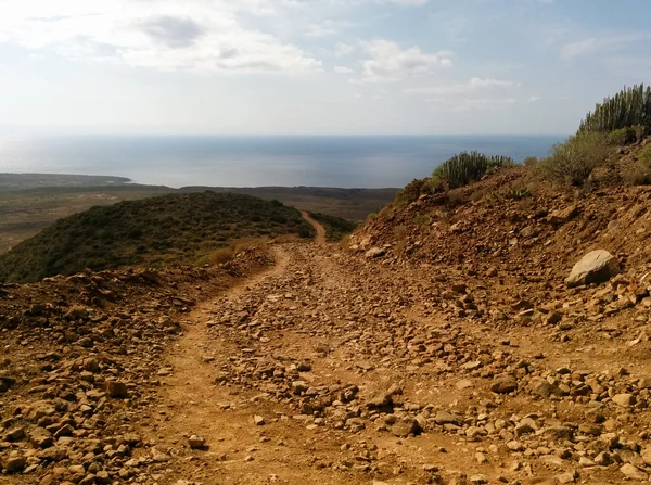 テネリフェ島。カナリア諸島。スペイン — ストック写真