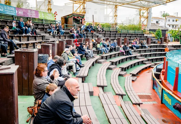 Nézők várt a delfin show — Stock Fotó