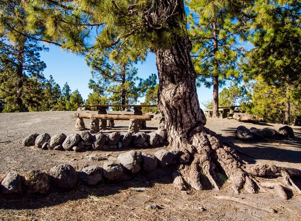 Campingplats på de södra sluttningarna av Teide — Stockfoto