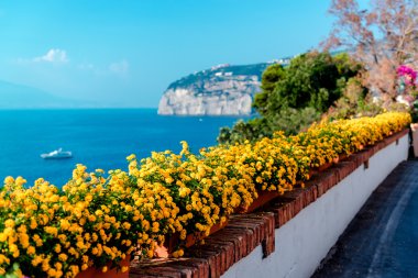 Piano di Sorrento çiçeklenir. Amalfi Coast. İtalya