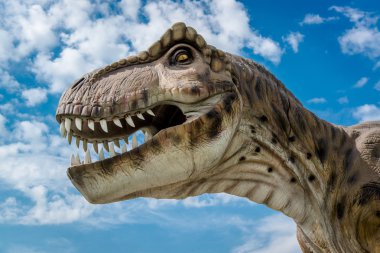 Bir Tyrannosaurus gerçekçi bir model 