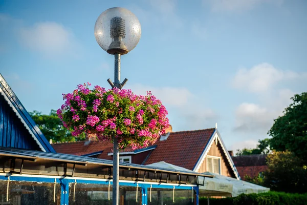 Straat lamp versierd met roze bloemen. Nida, Litouwen — Stockfoto