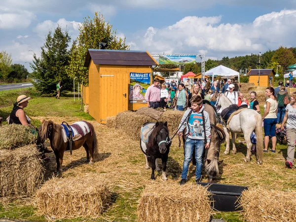 Tömeg ember nemzeti Alp nyaralás alatt — Stock Fotó