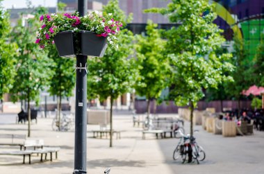 Sokak lambası taze çiçeklerle süslenmiş. Eindhoven, Hollanda