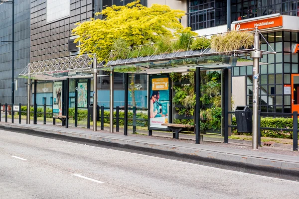 Eindhoven green bus stop — Stock Photo, Image