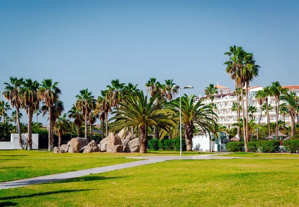 Palm trees in the Costa Adeje resort — Stock Photo, Image