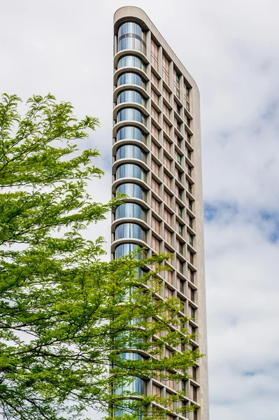 A torre vesteda — Fotografia de Stock